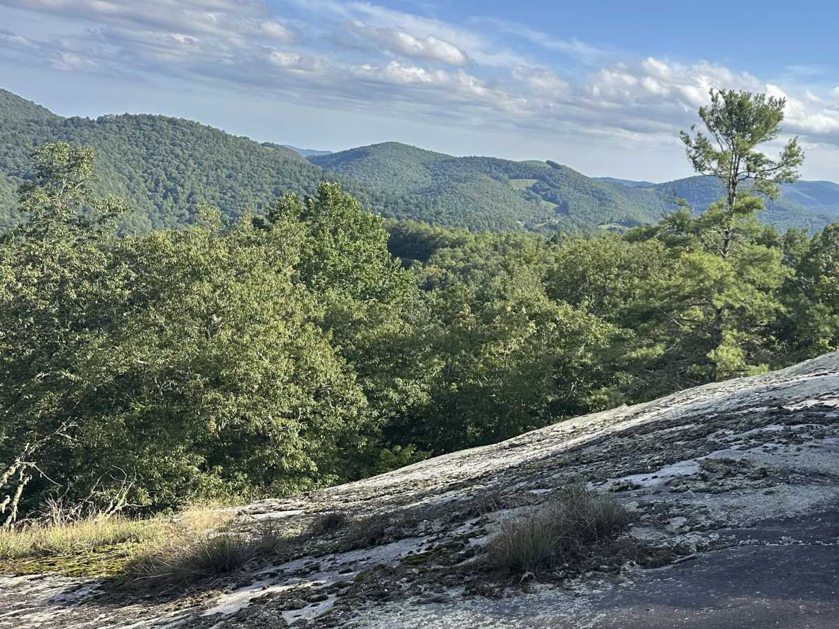 Wolf Mountain Road photo 2