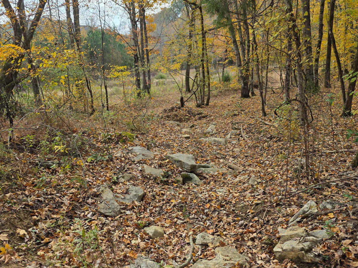 Field Loop photo 2