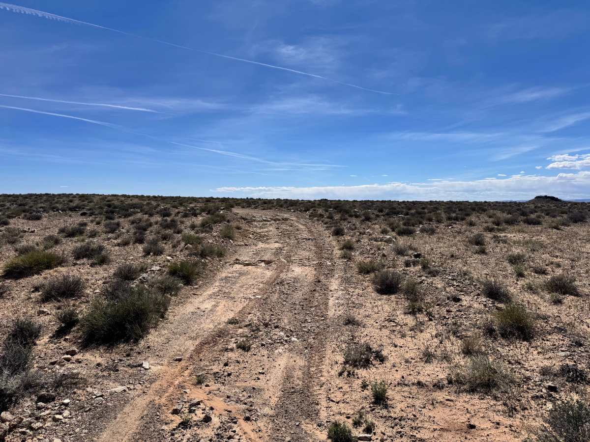 Orange Trail Shelf Road photo 3