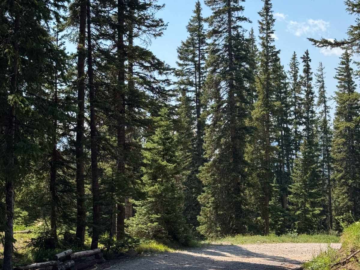 Green Lake Road photo 3