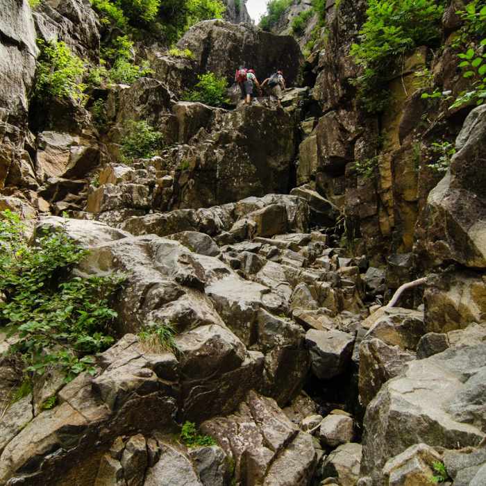Near Mount Colden via the Trap Dyke Near Mount Colden via the Trap Dyke