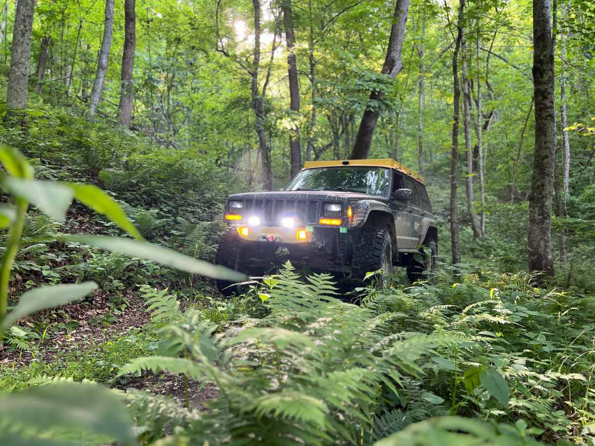 KC15A trail photo
