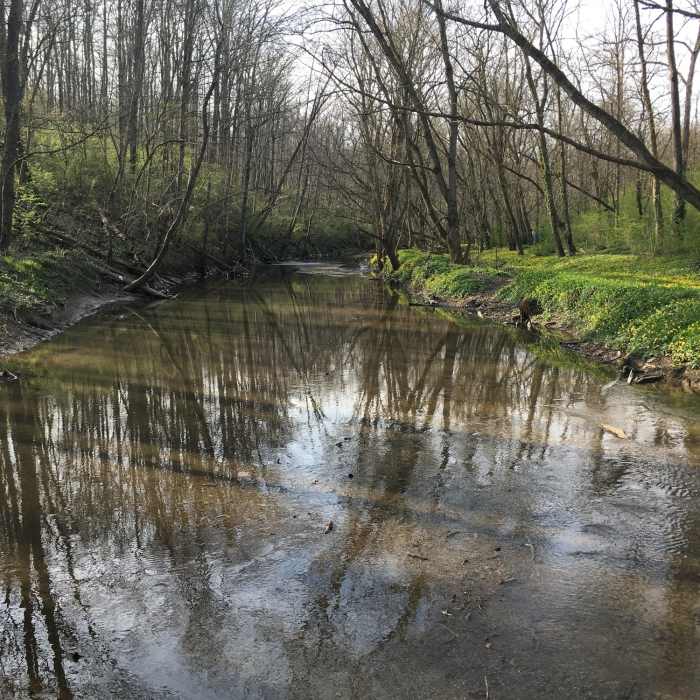 Near Great Oaks Trails