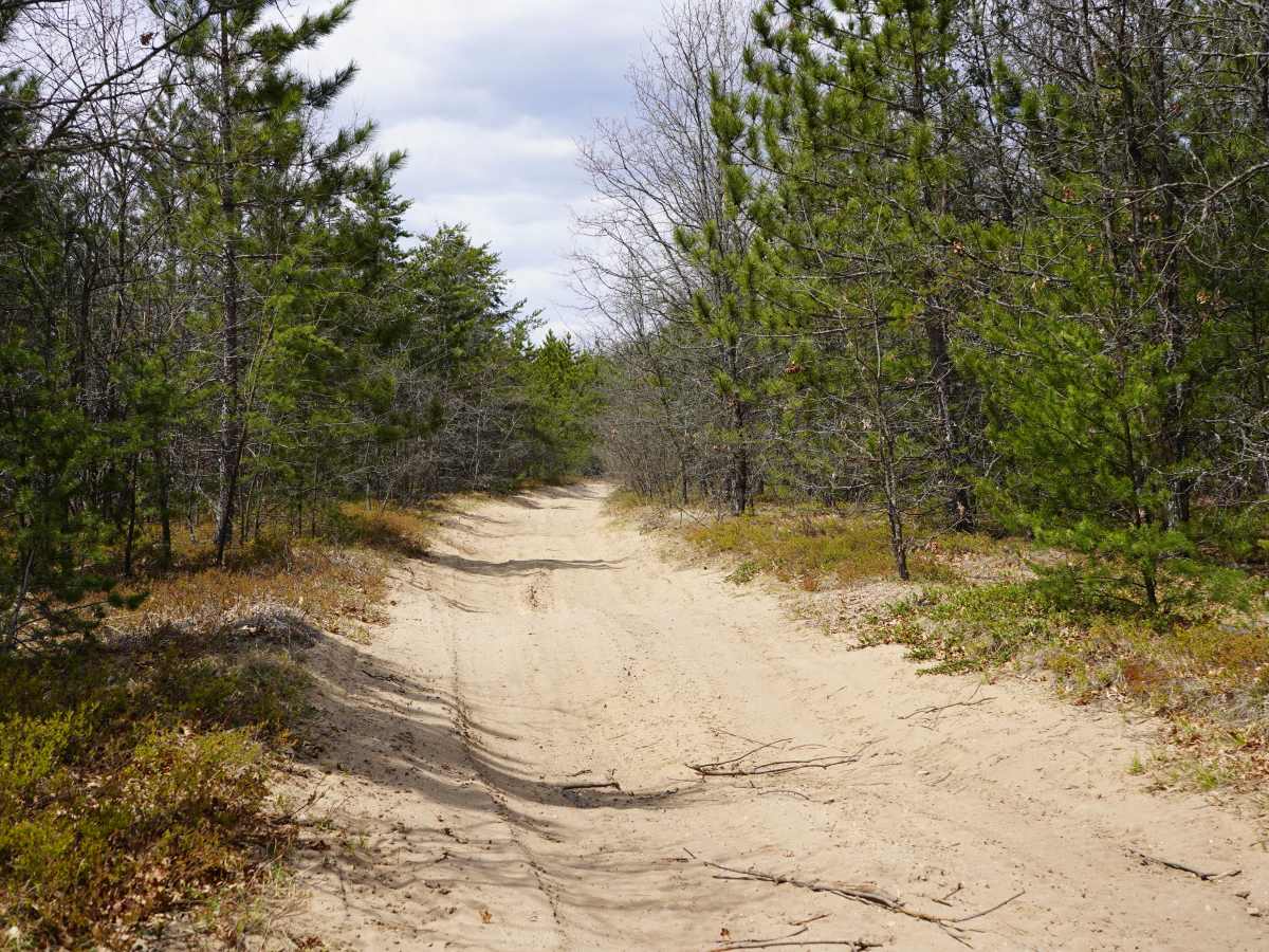 Artesia Beach Trail photo 2