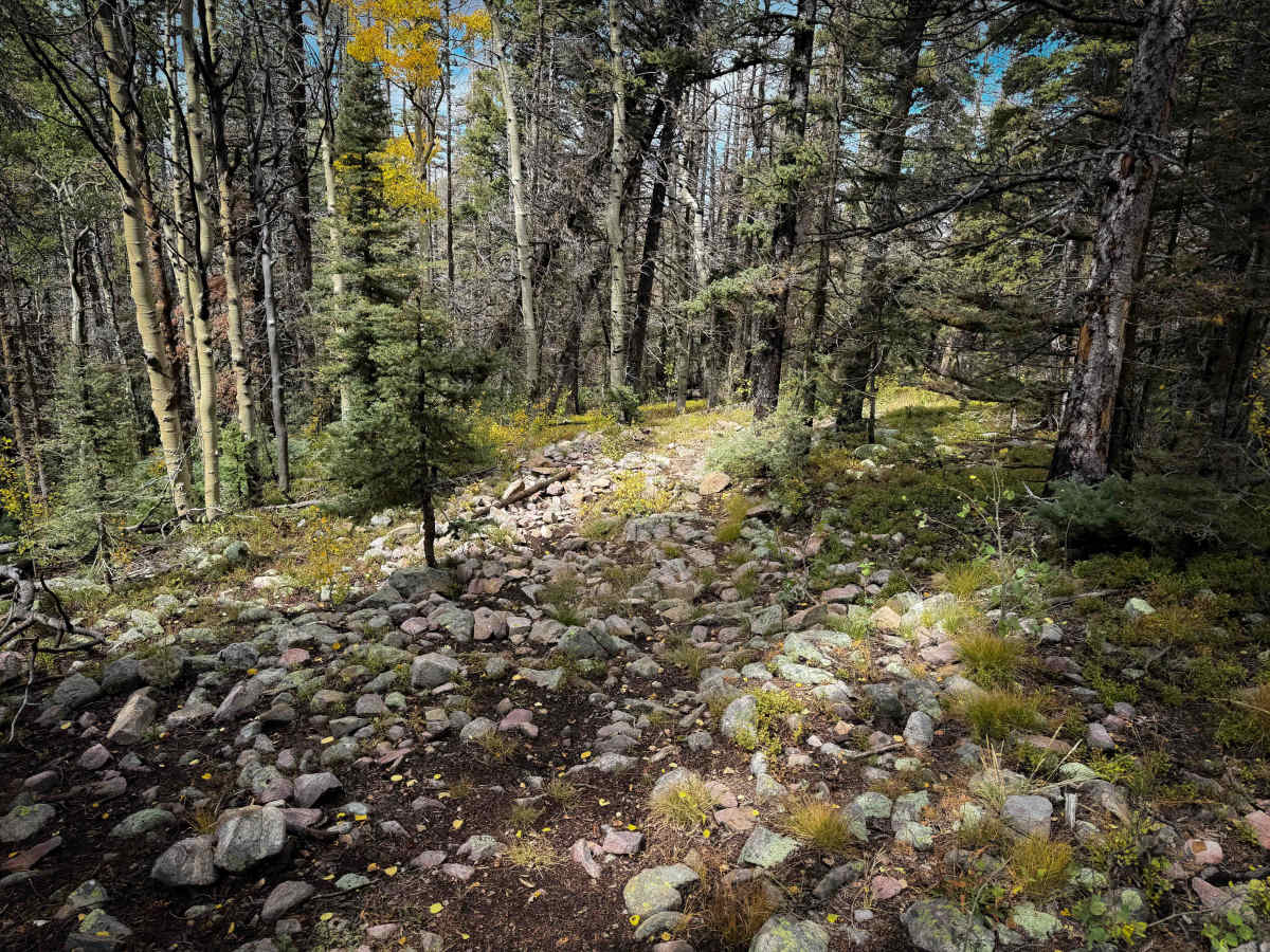 Trail 22A  photo 3