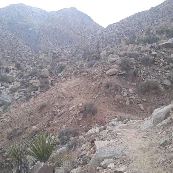 Near Boy Scout Trail