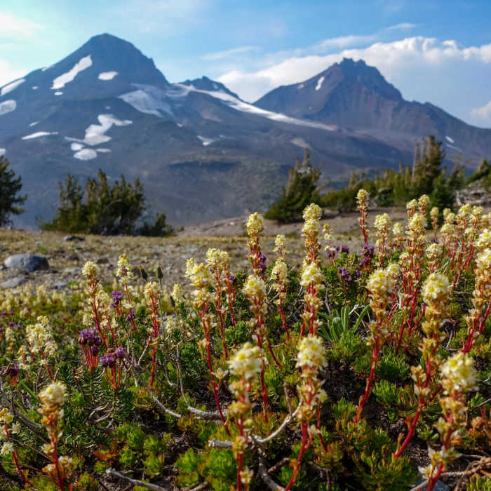 Near Three Sisters Loop