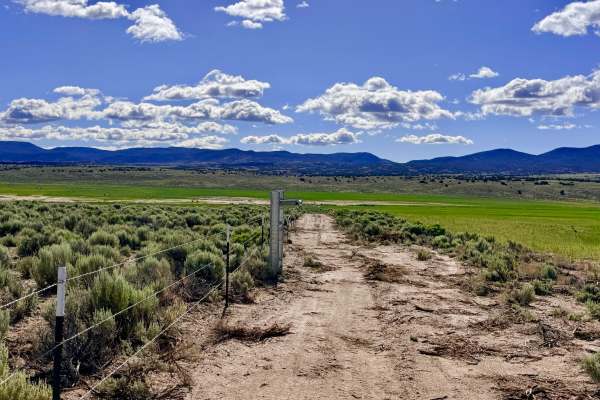 Bottom Road - FS 44809