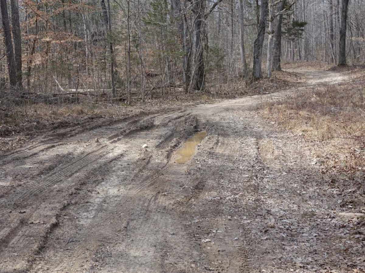 Lost Creek & Clear Creek photo 6