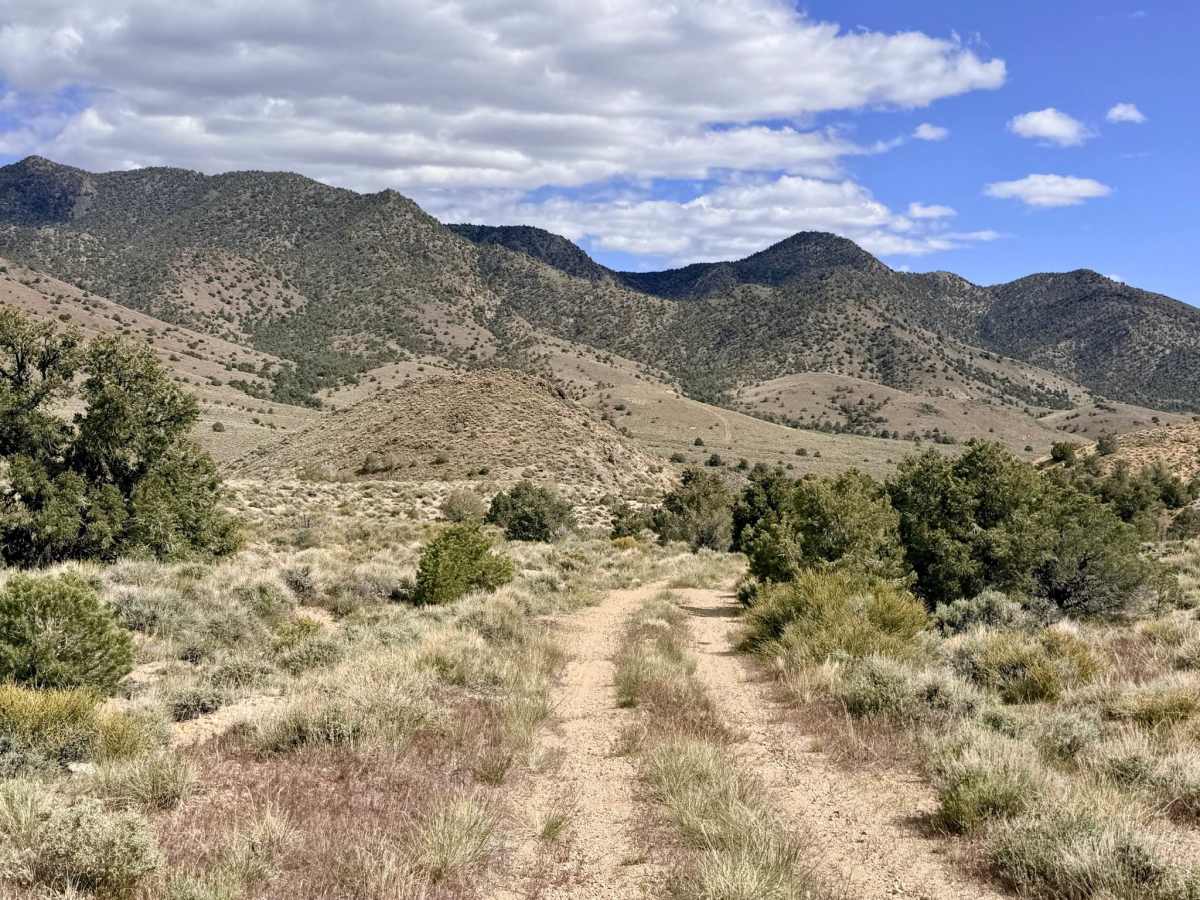  Four Mile Spring- FS 44018B photo 5
