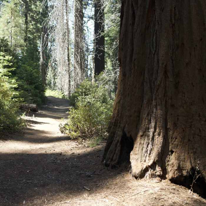 Near Soldiers Trail