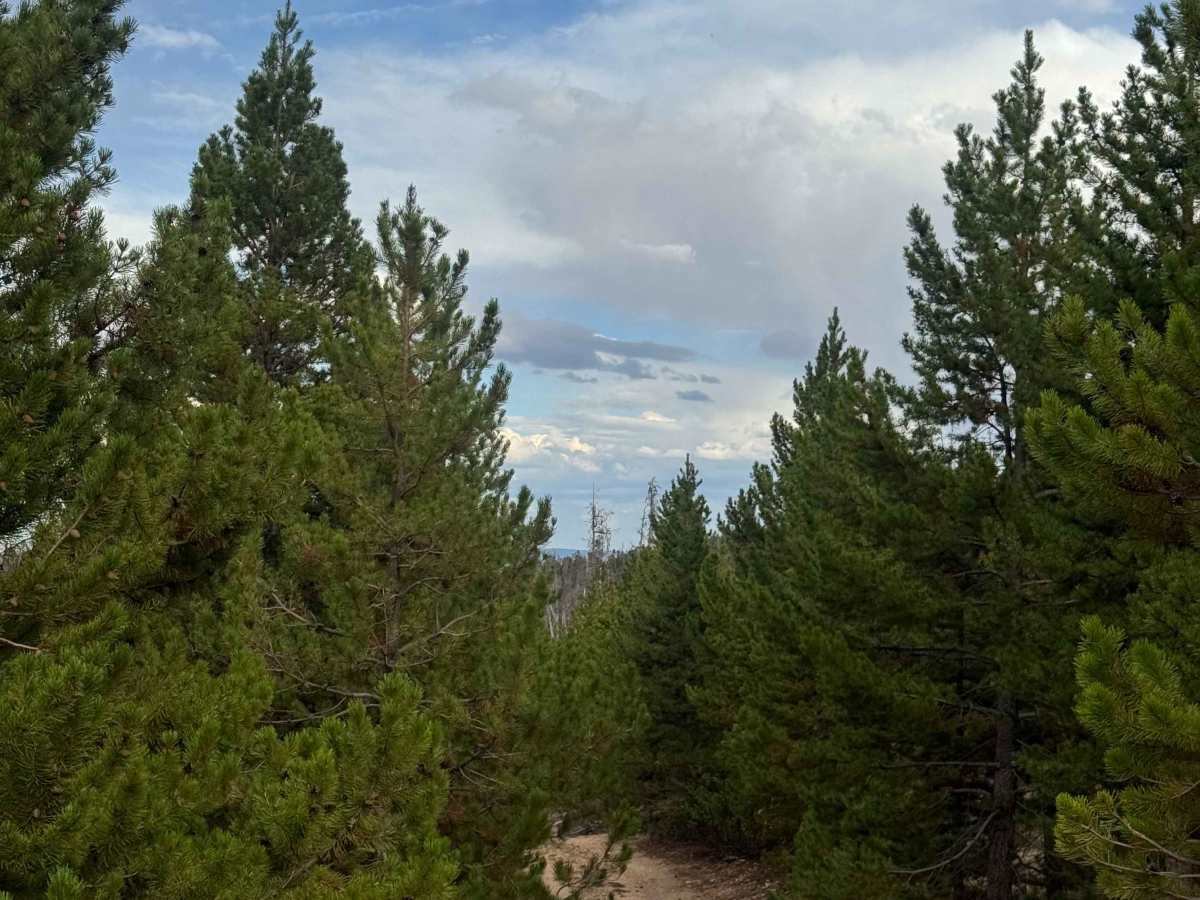 Bear Spur photo 3