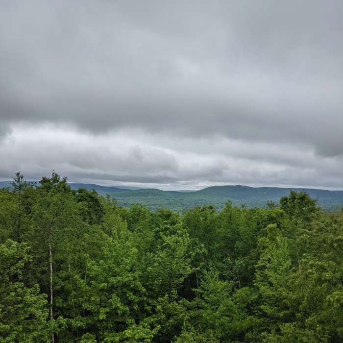 Near Laura's Tower Trail