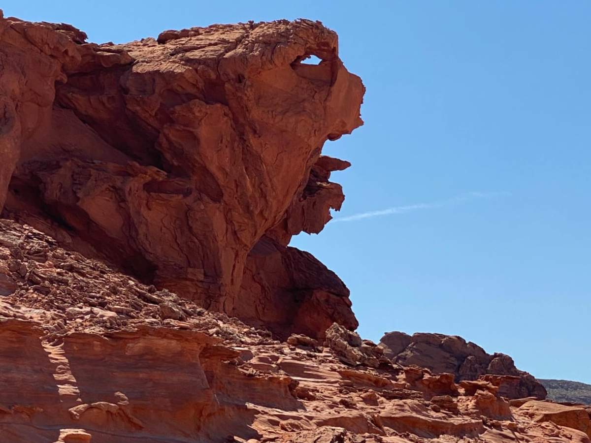 Gold Butte Loop photo 2