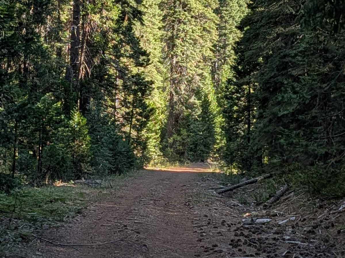 Dead Horse Canyon - FS 40N10 photo 6