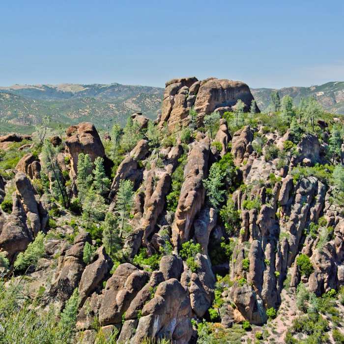Near Bench Trail to High Peaks Loop Near Bench Trail to High Peaks Loop