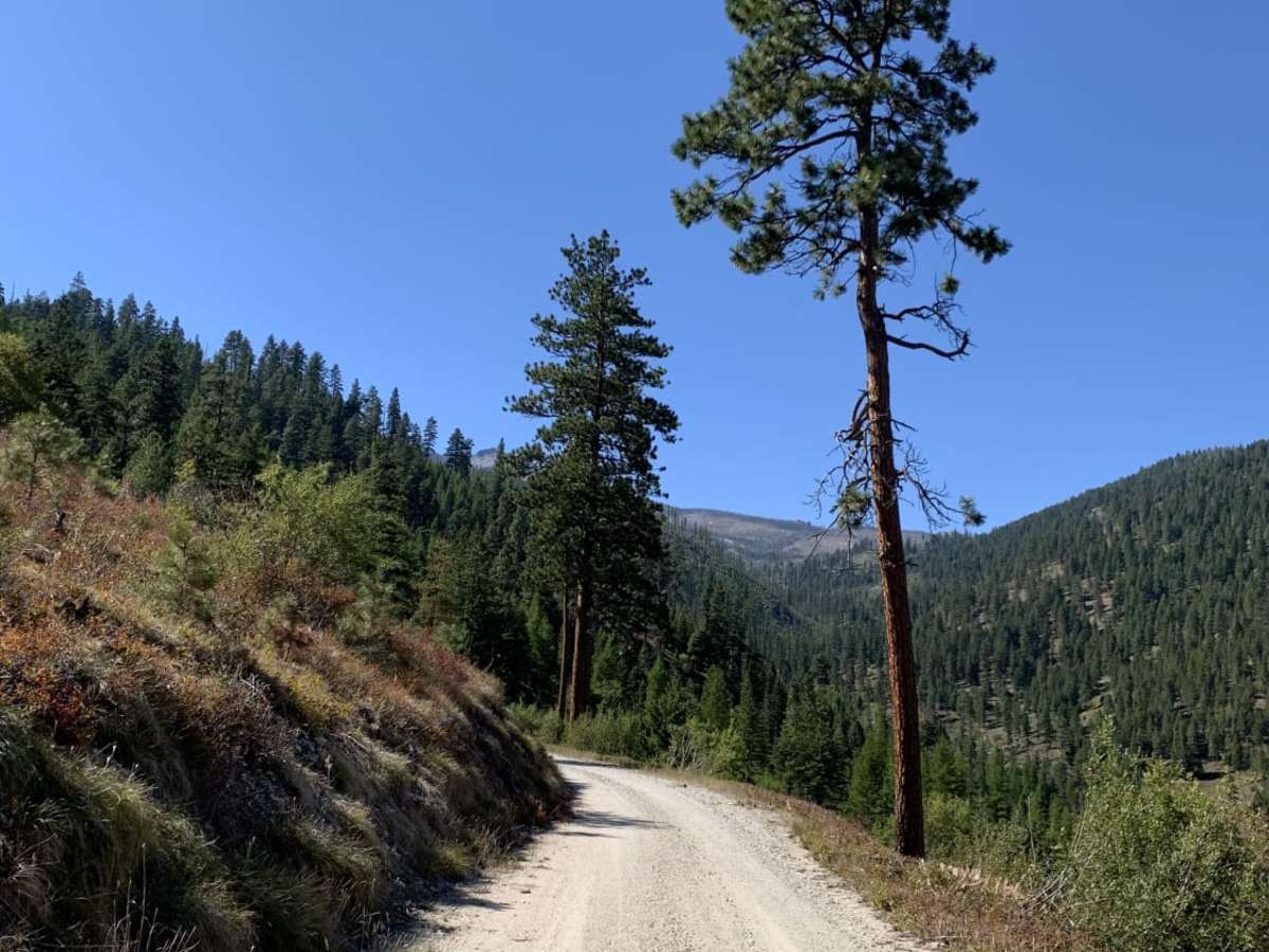 Gash Creek photo 6