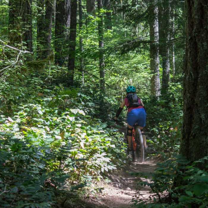 Near Eagles Rest Trail