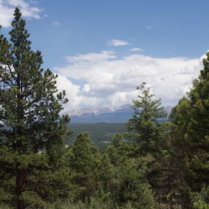 Near Hans Loop Trail