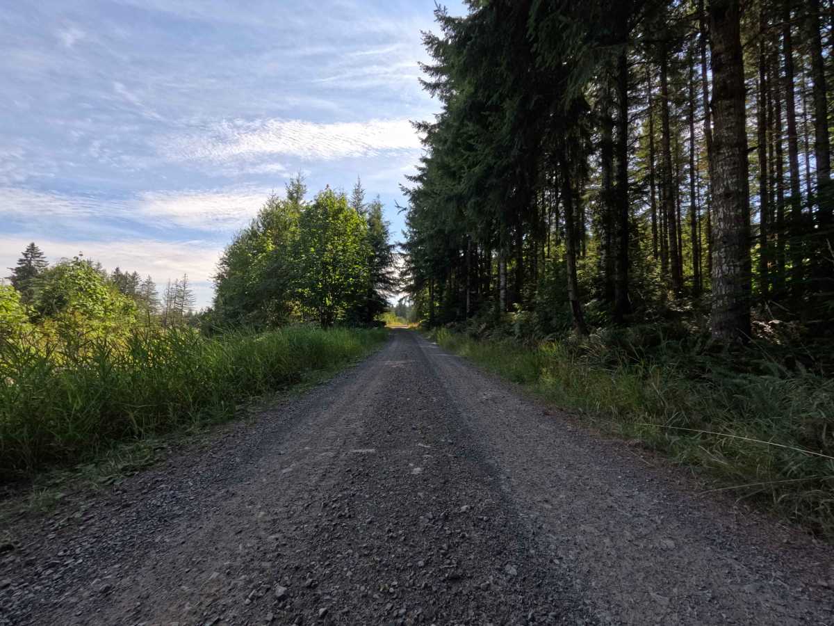 W-2000 trail photo
