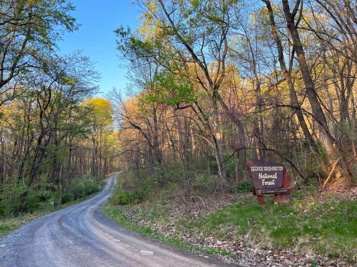 Hawk trail photo