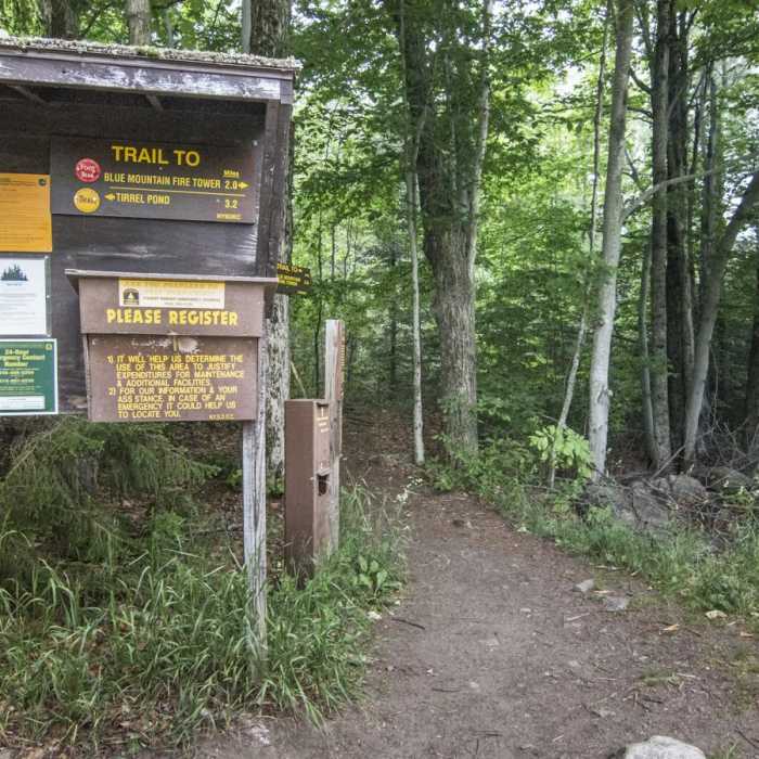 Near Blue Mountain Fire Tower Near Blue Mountain Fire Tower