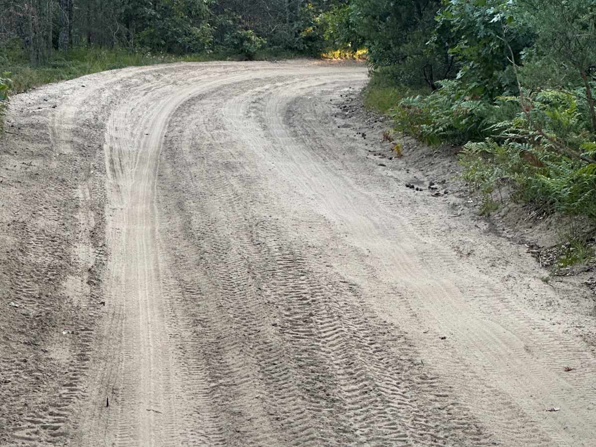 Dorr Road photo 5