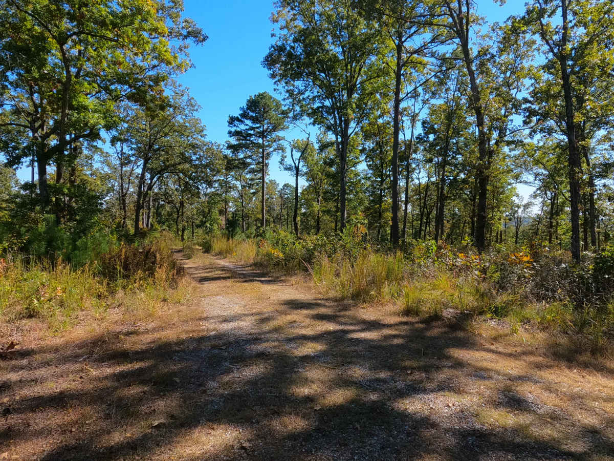 Miller Creek - FS 3750B photo 3