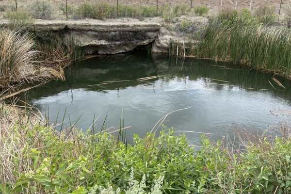Old Man Canyon / Seven Devils Hot Springs