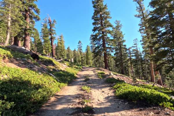 Horse Meadows Spur - FS 31051B