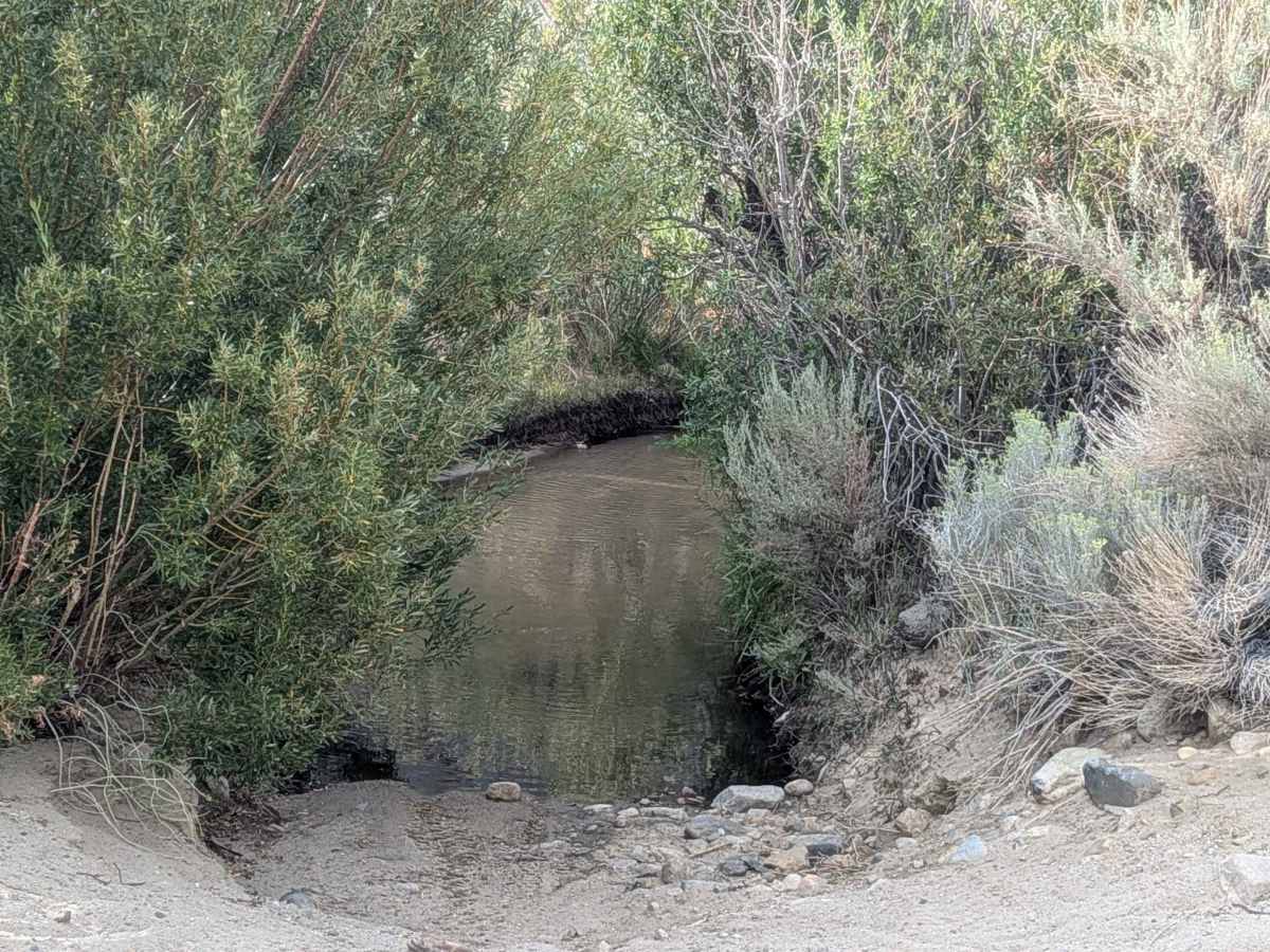 McGee Creek R2 photo 3