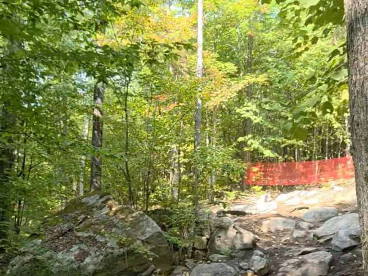 Jericho Black Trail photo 2