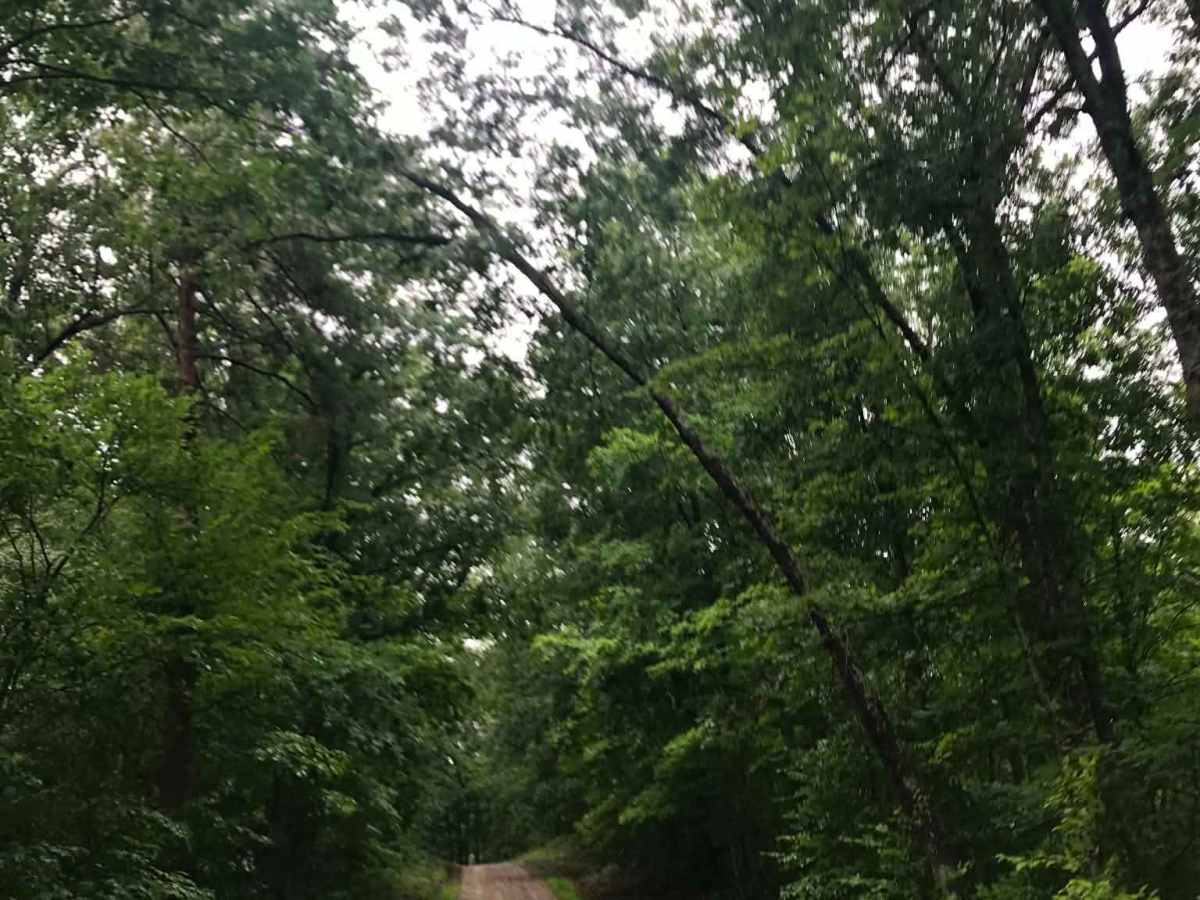 Texas Hollow  photo 5