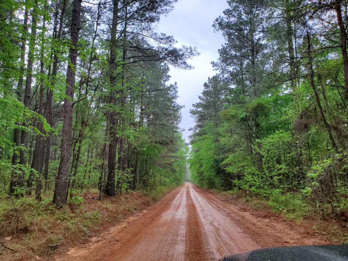 The Arkansas Overland Route - Section 7 - Treck Along Ouachita Road photo 5
