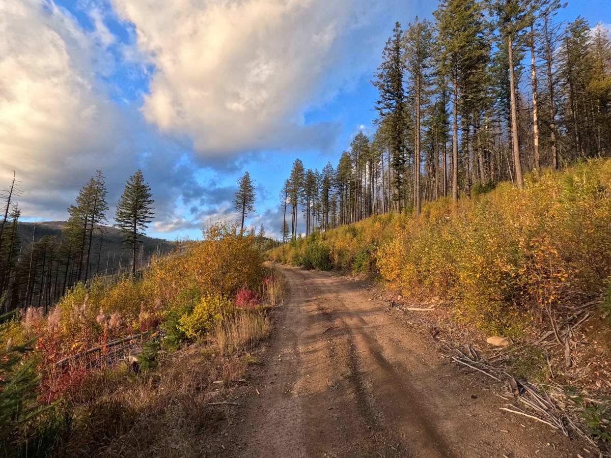 North Baldy - FS 1920306 photo 5