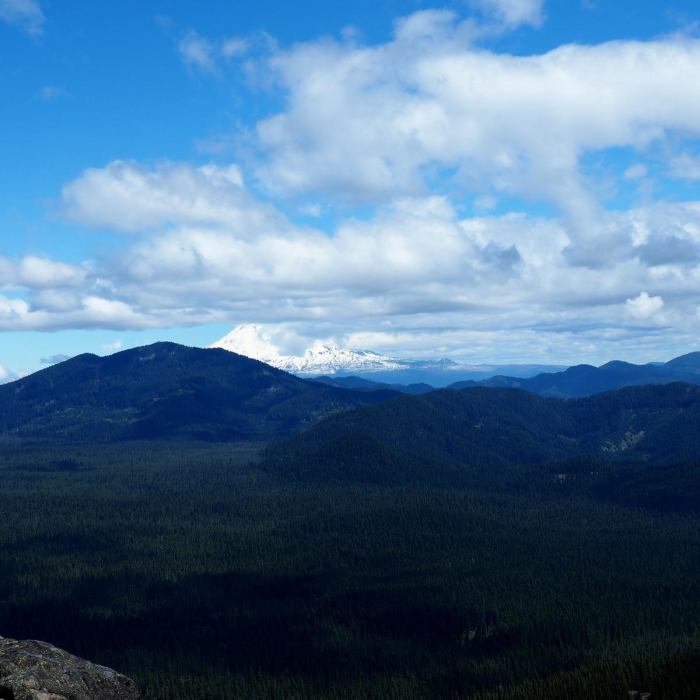 Near Grassy Knoll to Big Huckleberry Mountain