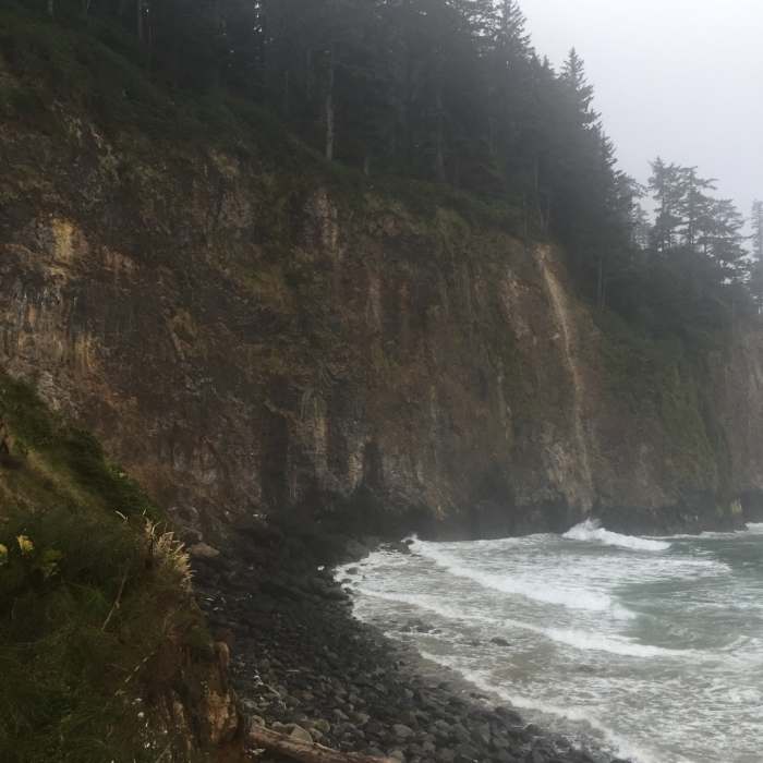 Near Cape Meares Beach Trail