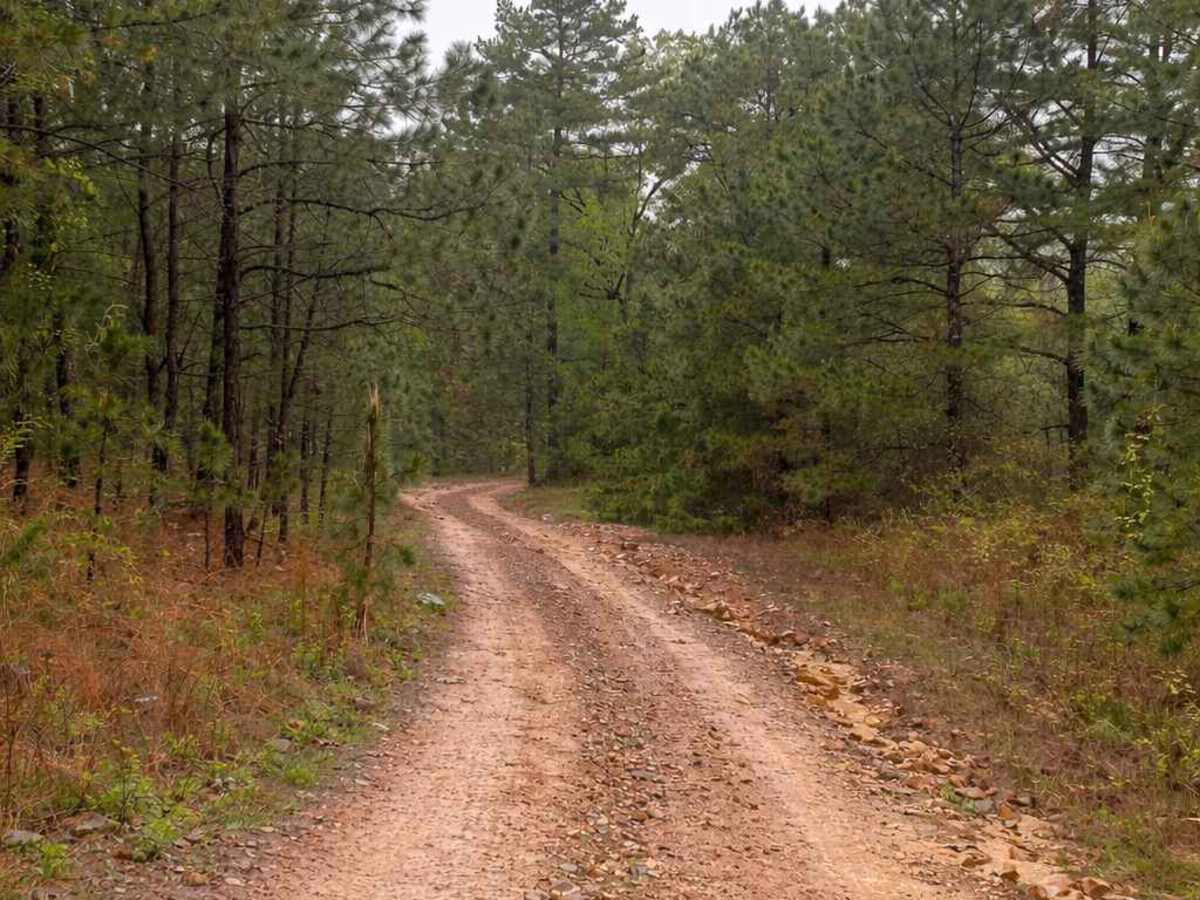 Horne Road photo 4