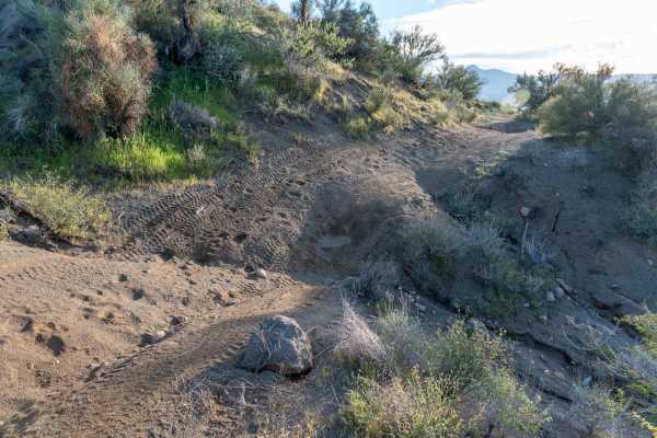 Blue Peak Canyon