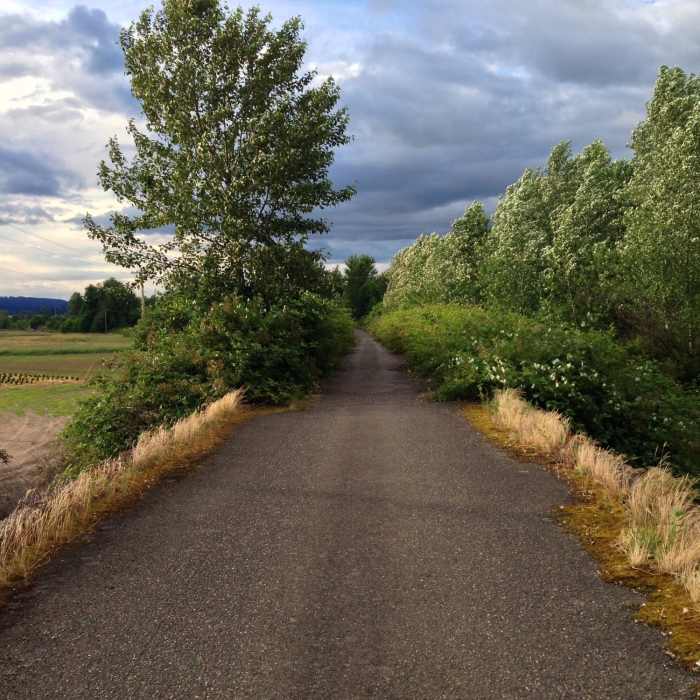 Near Crown Zellerbach Trail