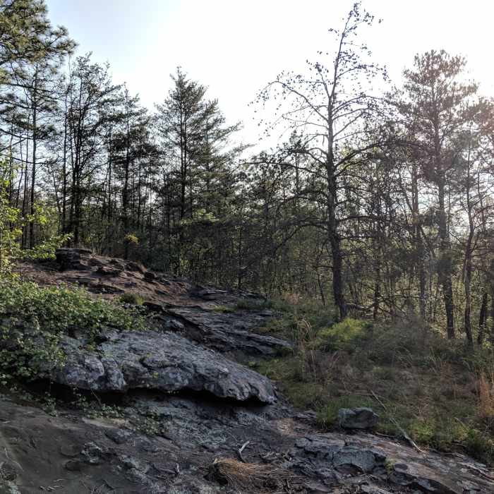 Blue Trail Near Powerline to Blue Trail Loop