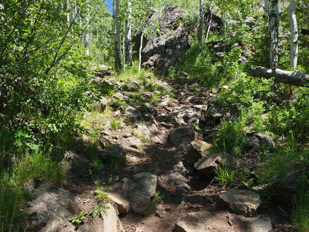 McIntyre Gulch Trail photo 2
