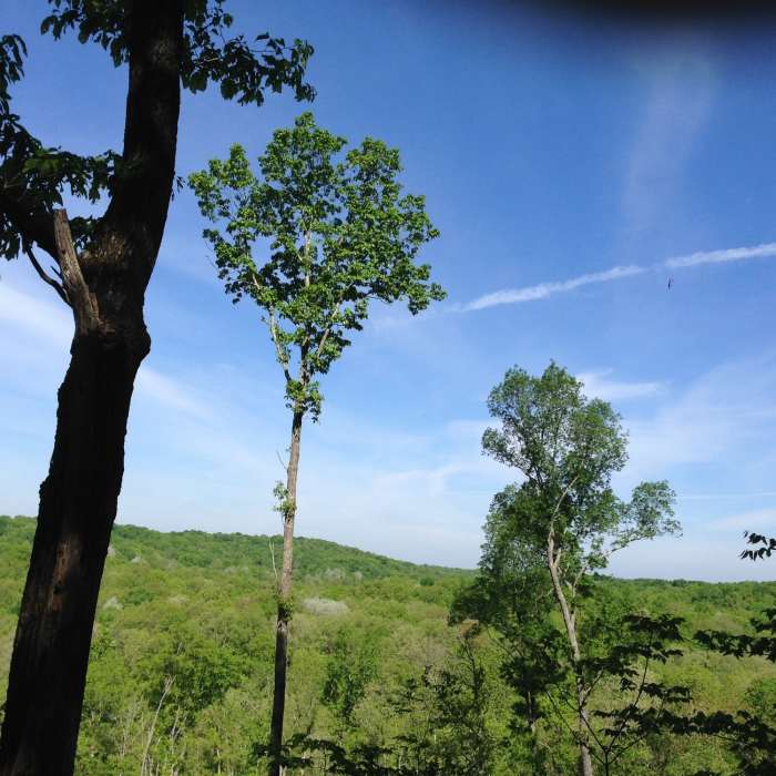 Near Zaleski Backpacking Trail - East