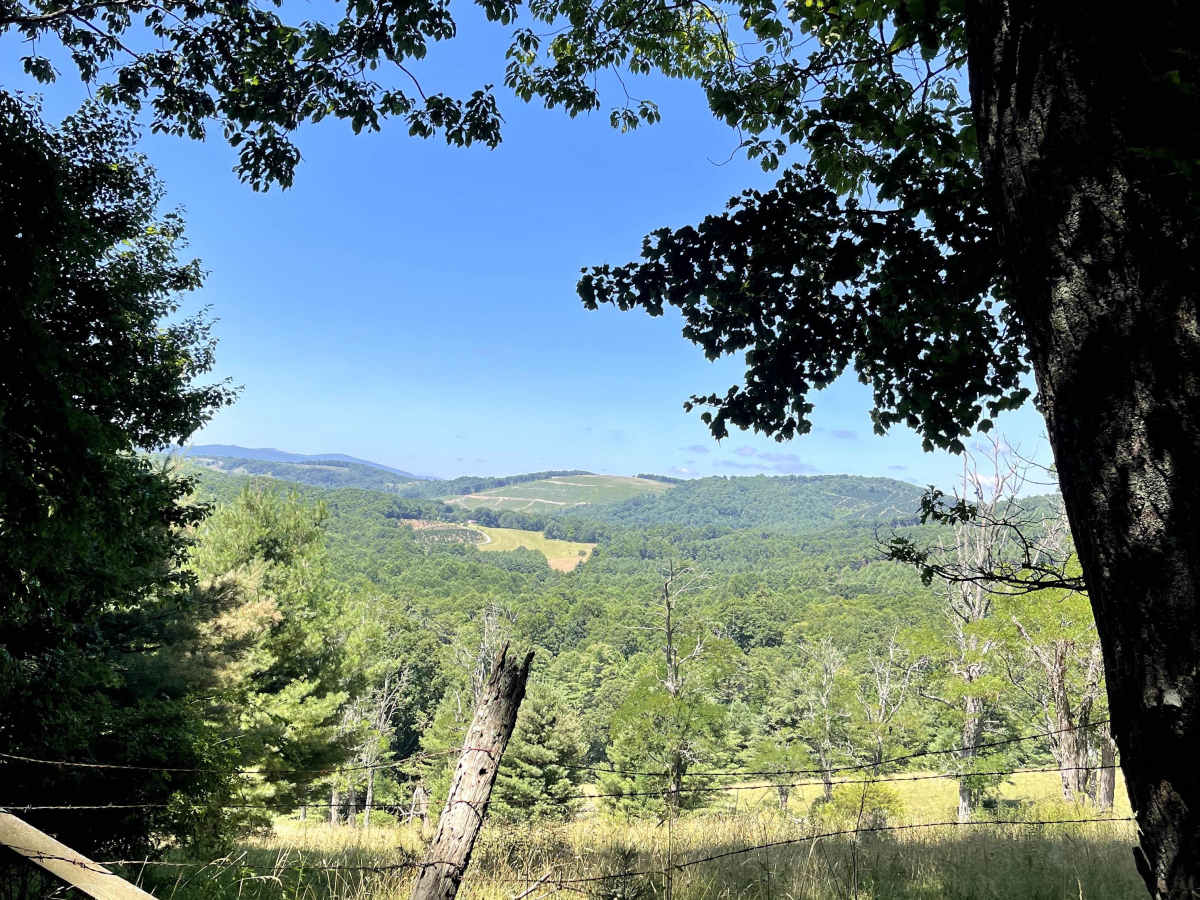 Cornflower Road trail photo