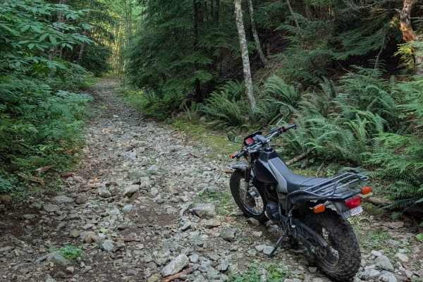 Middle Fork