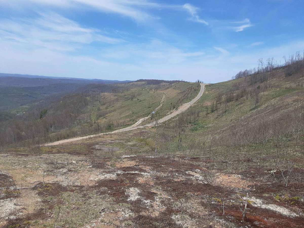 Bald Knob photo 2