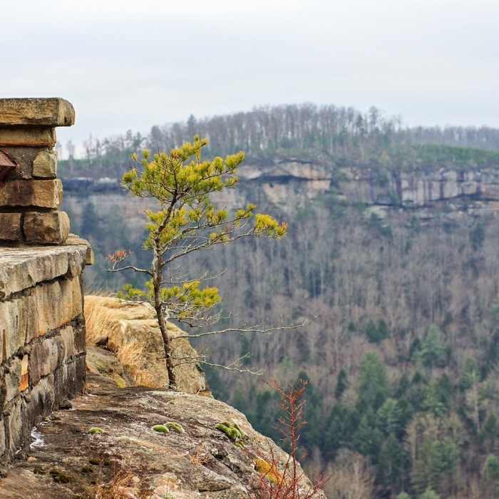 View from the overlook at Chimney Top Rock Near Chimney Top Trail #235
