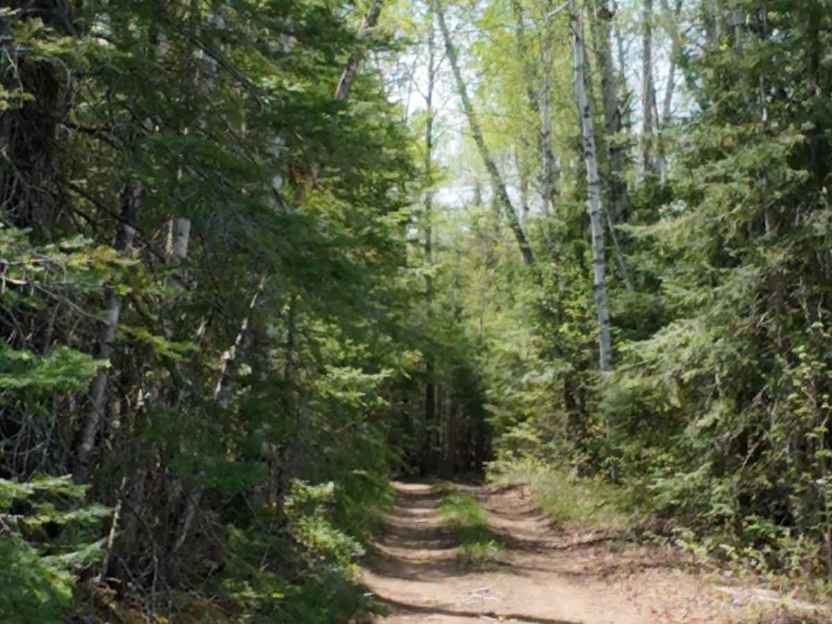 Finger Lake Spur photo 3