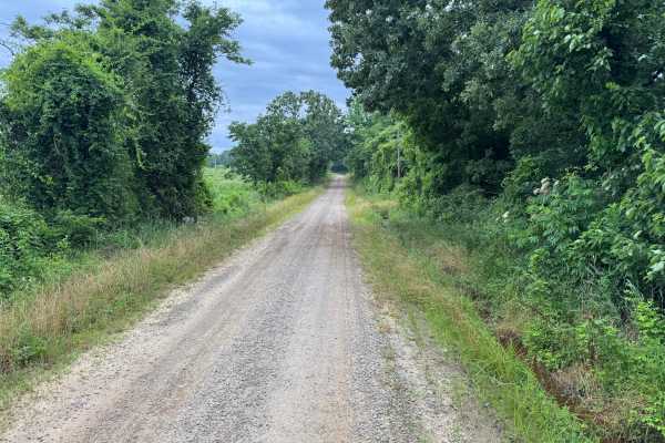 County Road 4501