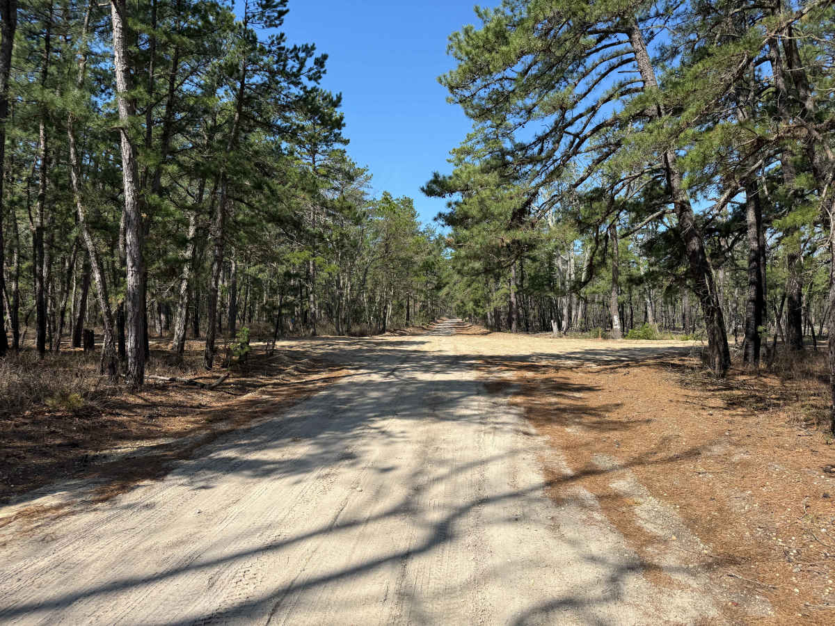 Mount Misery and Pasadena Road photo 6